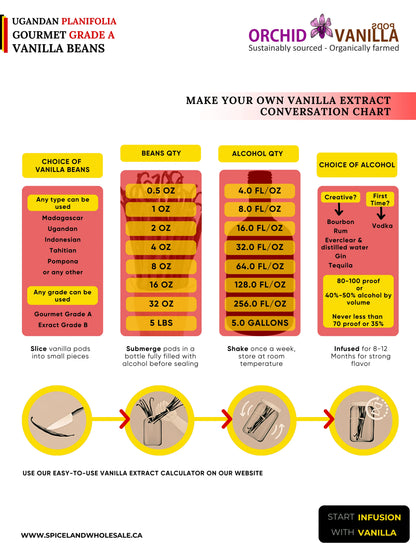 Gousses de vanille de l'Ouganda, Grade A, Gourmet <br>Pour extraits et pâtisseries<BR>À l'once