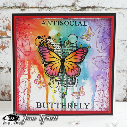 Visible Image Antisocial Butterfly - Planche de tampons A6