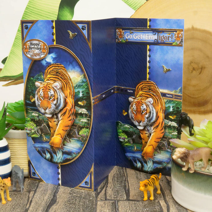 Into The Wild Deco-Large Set - Vas-y mon grand !