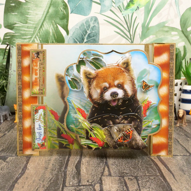 Into The Wild Deco-Large Set - Envoyer des Sourires