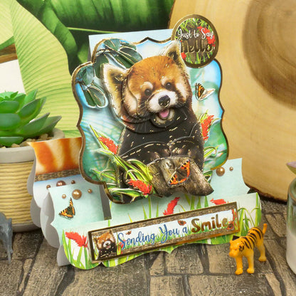 Into The Wild Deco-Large Set - Envoyer des Sourires
