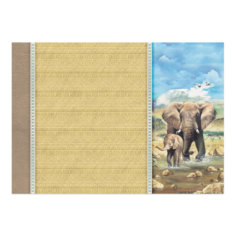 Kit Deco-Large Into The Wild - Jour Inoubliable