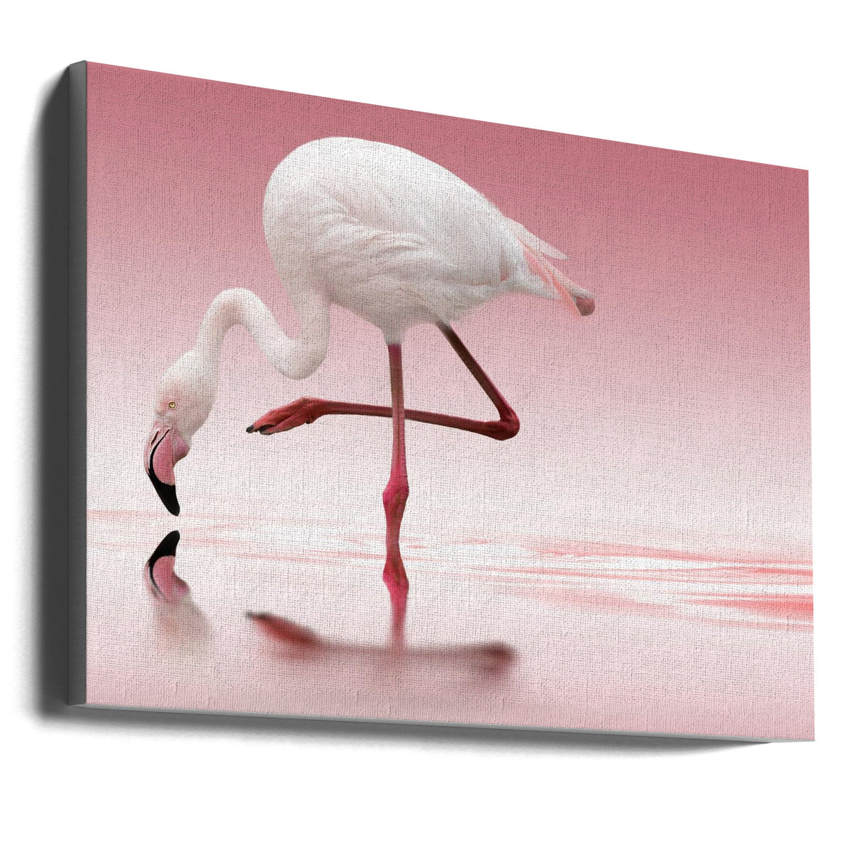 Décoration murale Flamant rose