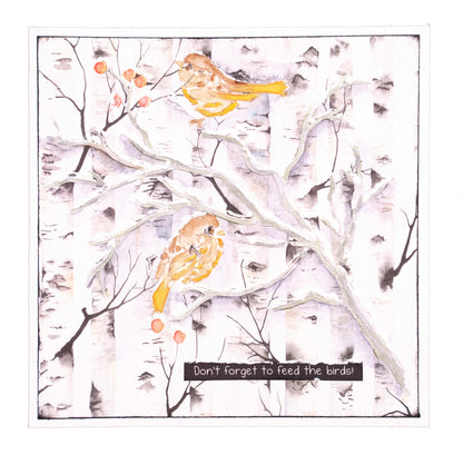 SL Tampon Transparent Observation d'Oiseaux Jardin d'Hiver 105x148x3mm 1 PC nr. 161