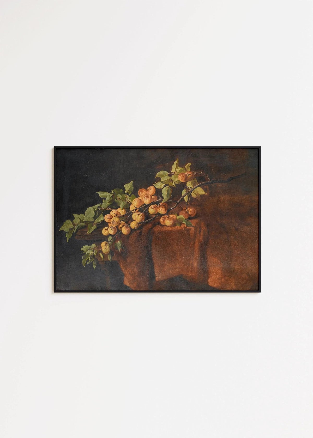 Adam Ludwig Kunz - Apricot Branch | Famous Still Life Art (available handframed or unframed)