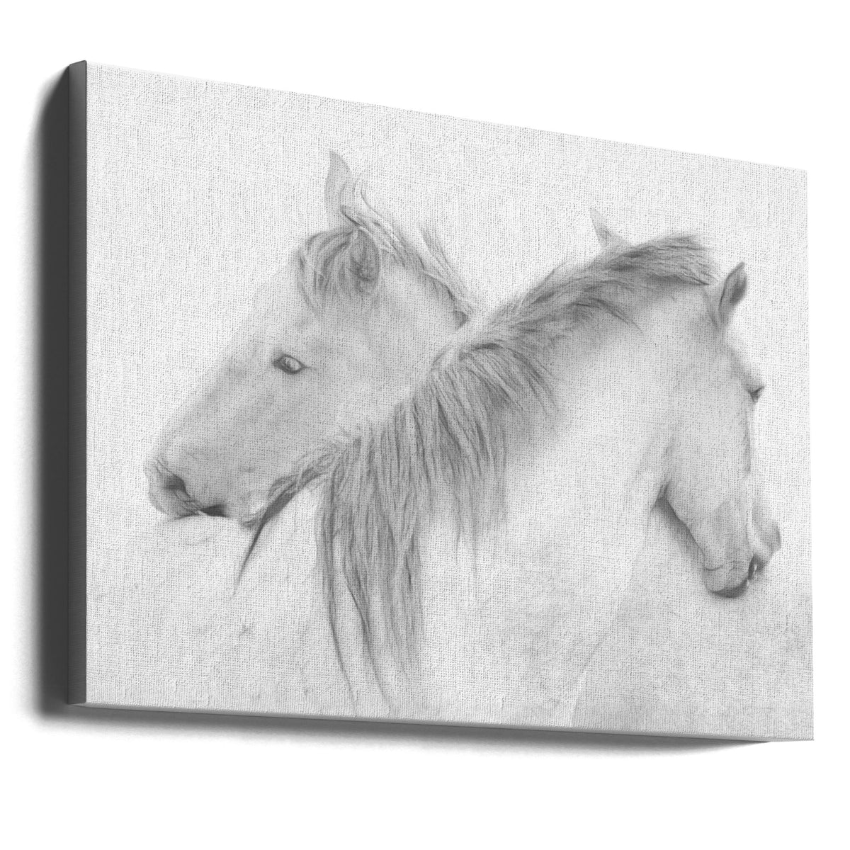 Chevaux