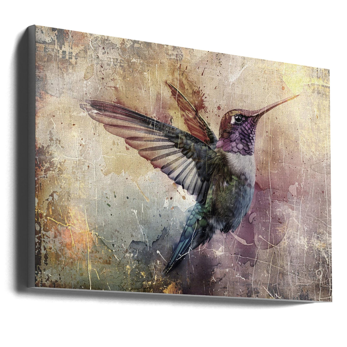 Art mural Oiseau Oiseaux Animal Illustration vintage Art mural 11