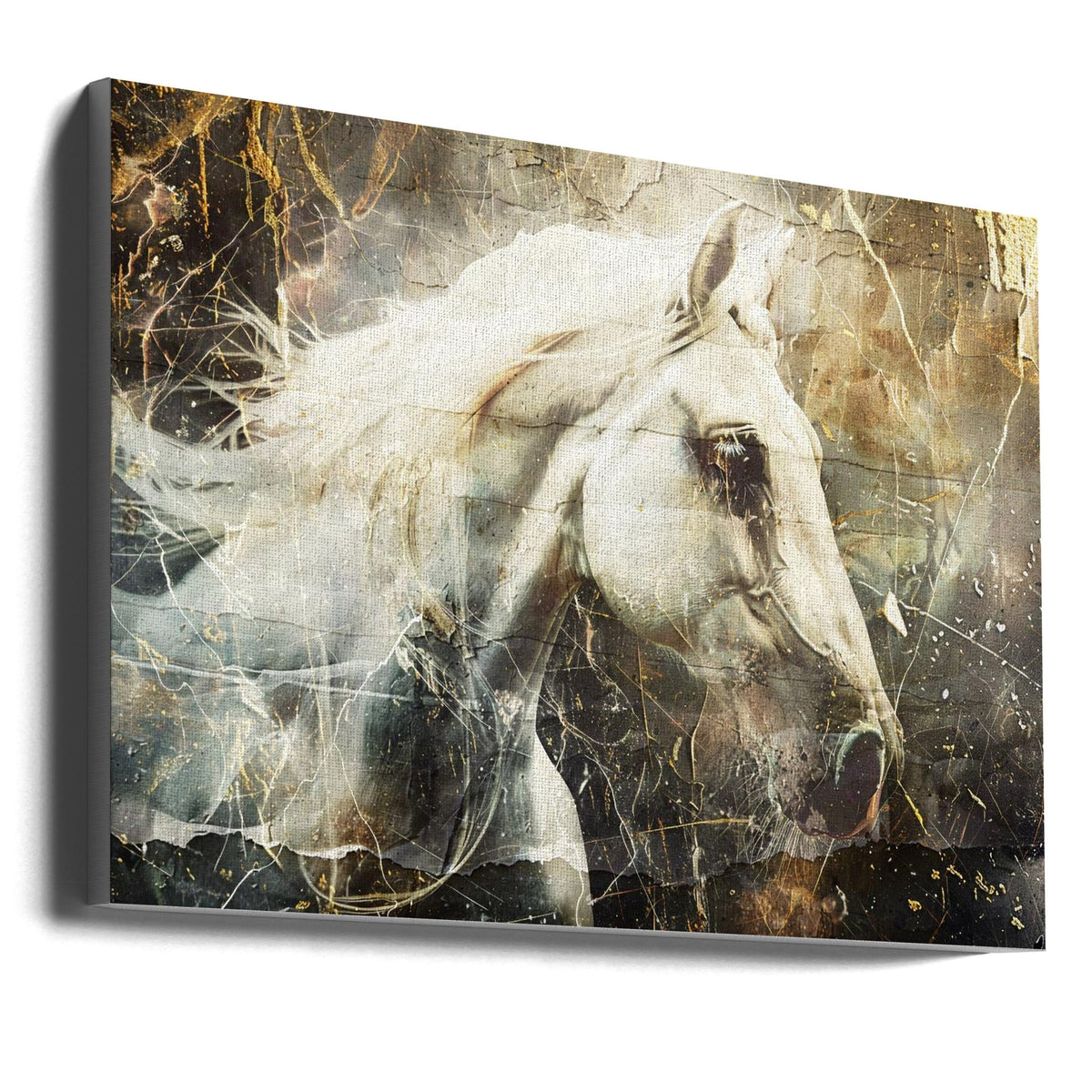 Art mural Cheval Animal Art vintage Illustration Murale 08