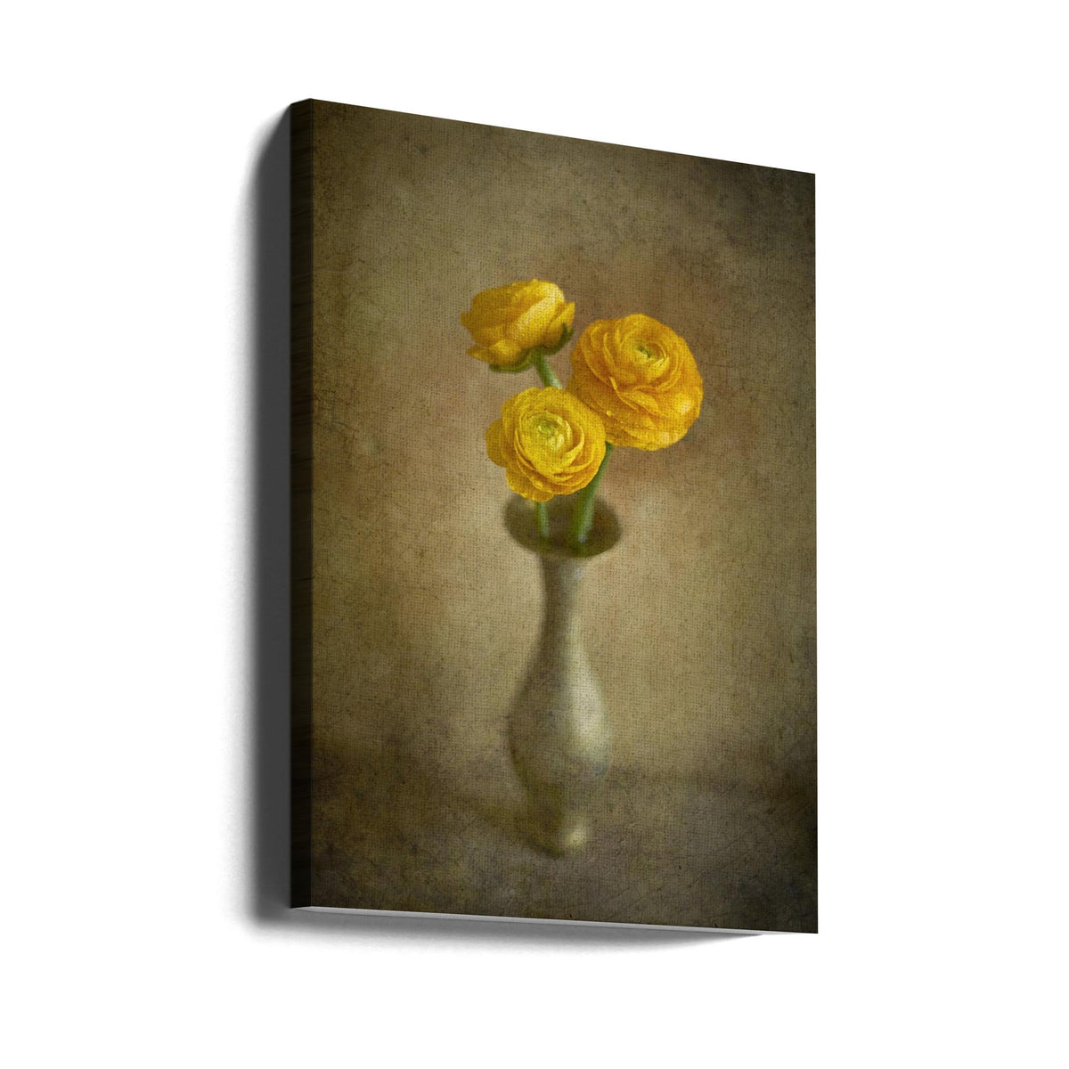 Boutons d'or