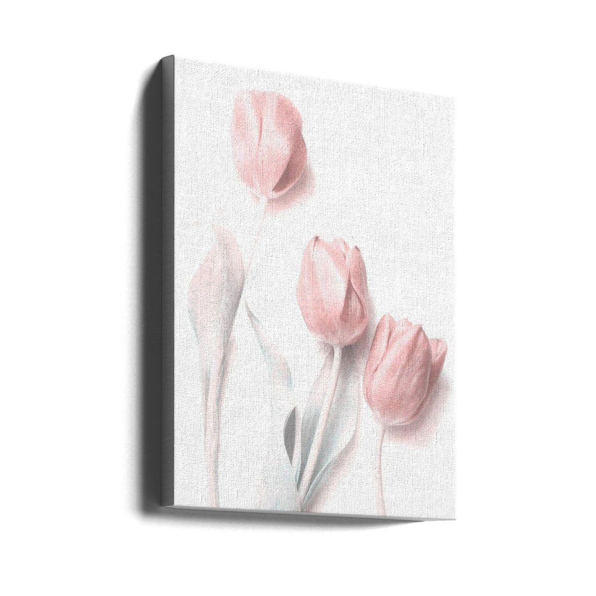 Douce fleur rose