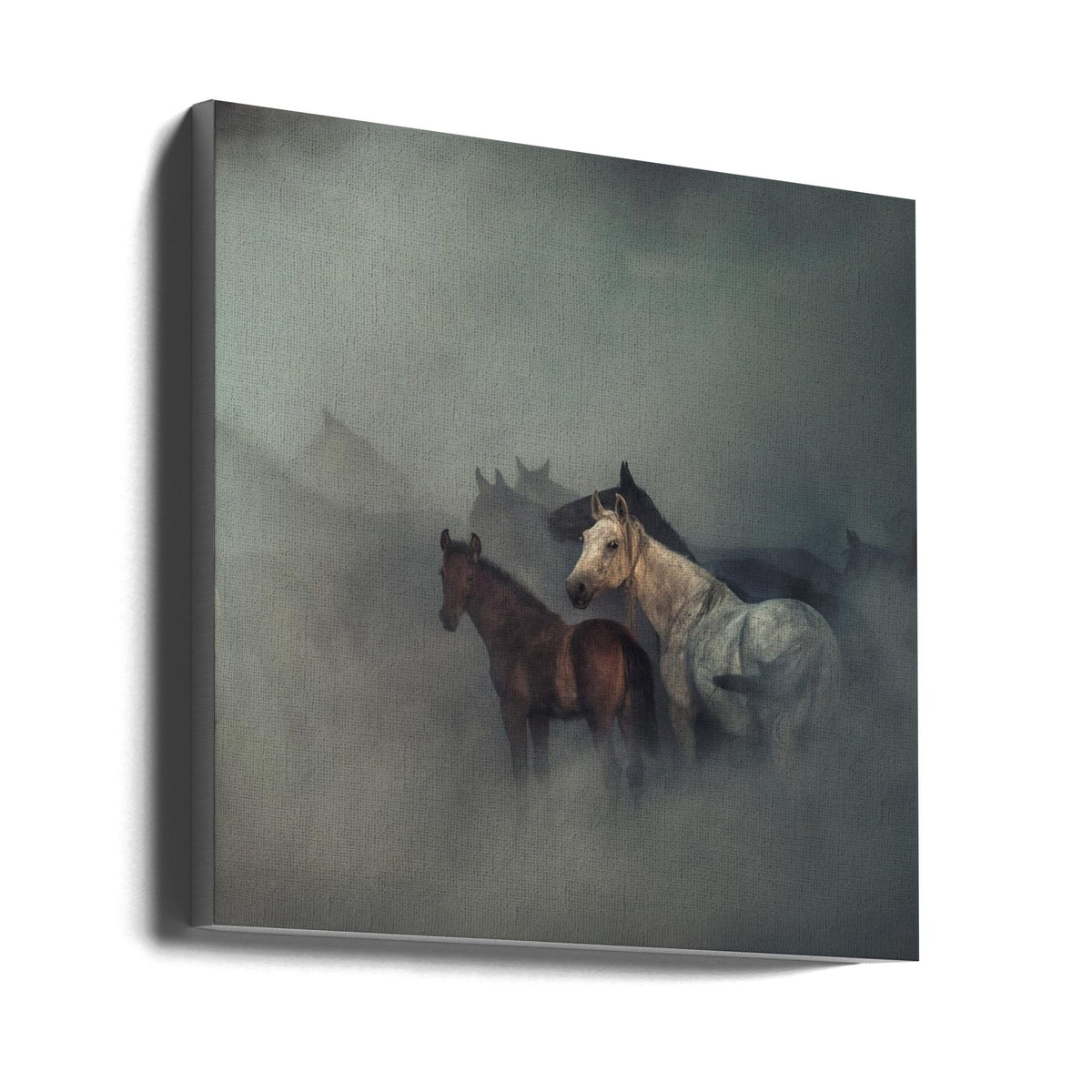 Art mural Les chevaux perdus