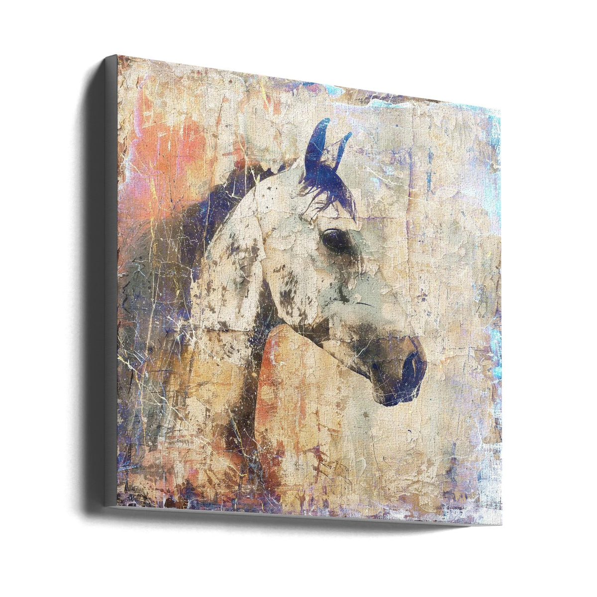 Art mural Cheval Illustration d'art vintage 04
