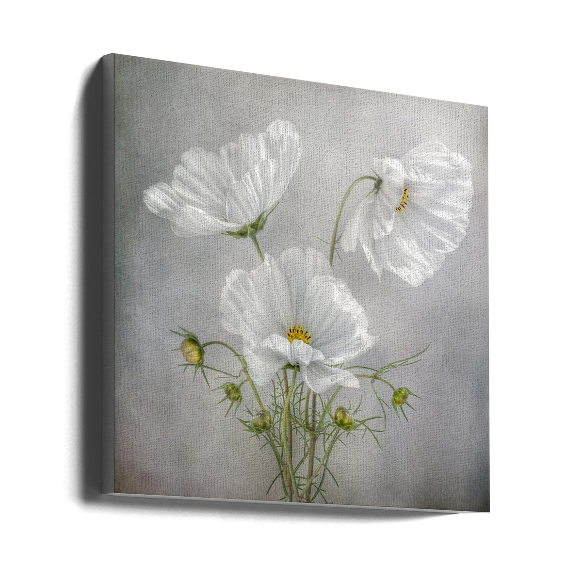 Art mural Charme cosmos Iris
