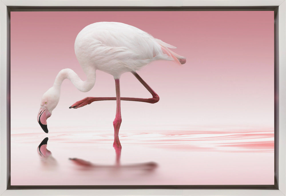 Décoration murale Flamant rose