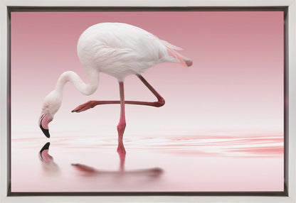 Décoration murale Flamant rose