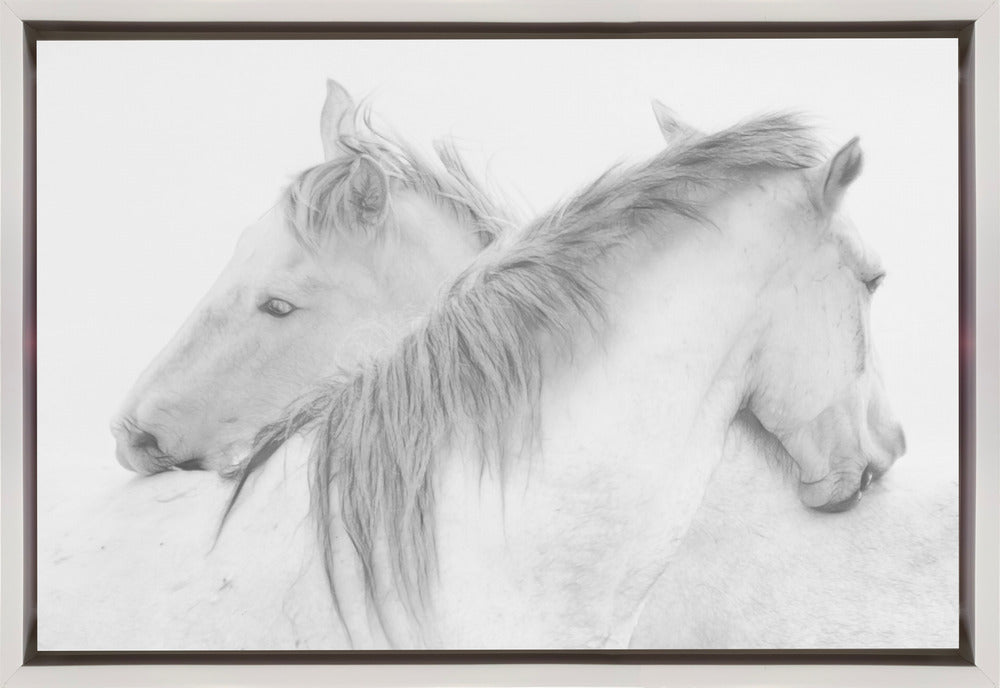 Chevaux