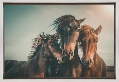 Wall art Family portrait Horses Canvas Print