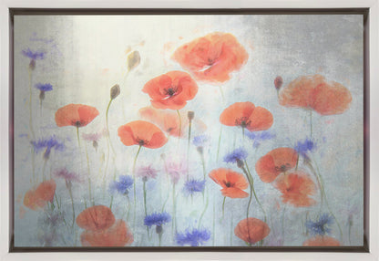 Décoration murale Coquelicot