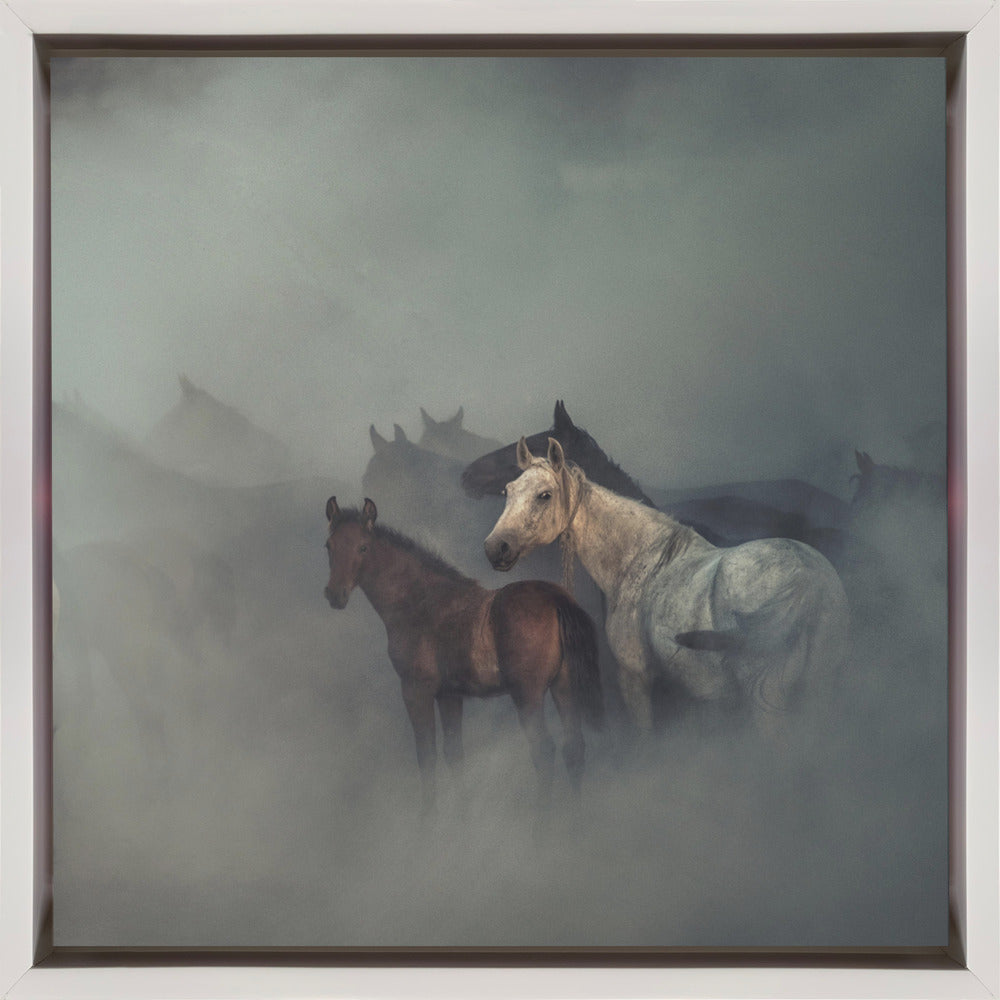 Art mural Les chevaux perdus
