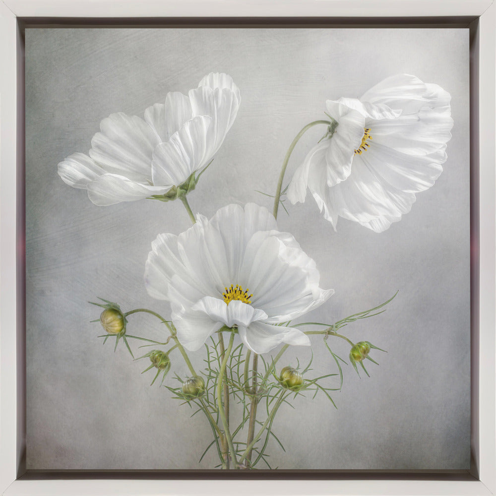 Art mural Charme cosmos Iris