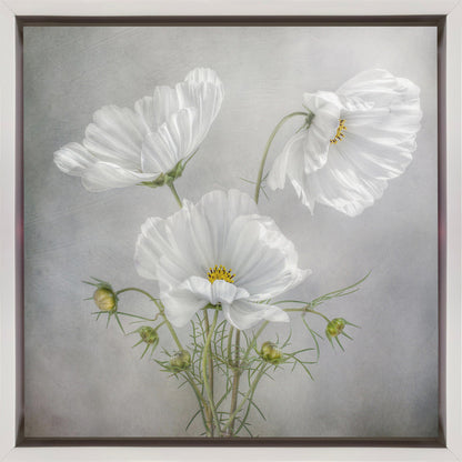 Art mural Charme cosmos Iris