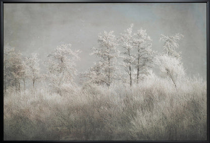 Wall art Cold morning