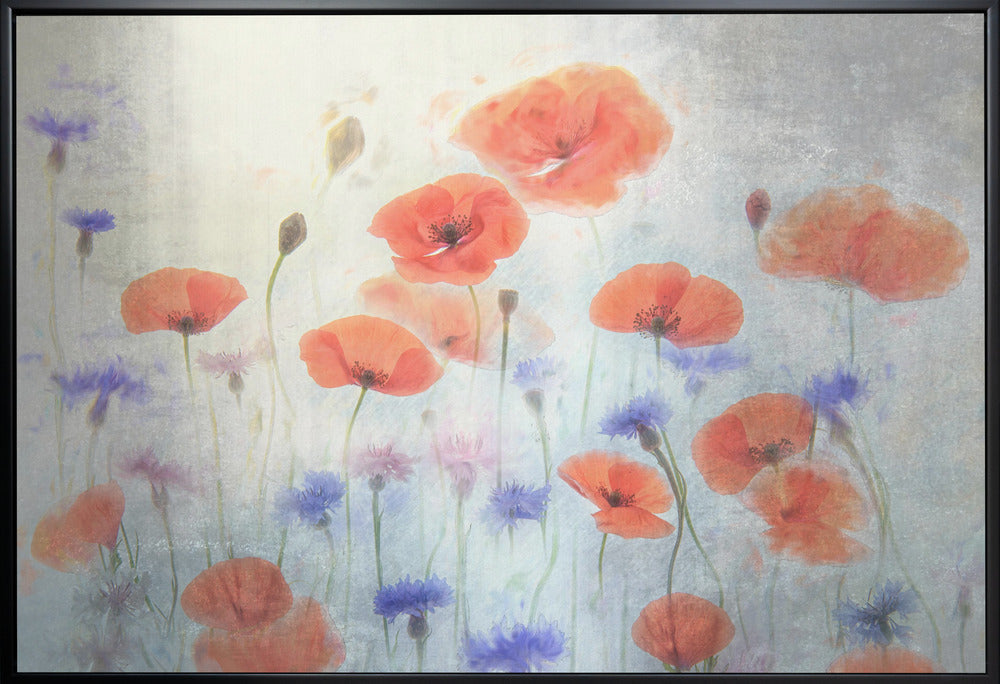 Décoration murale Coquelicot
