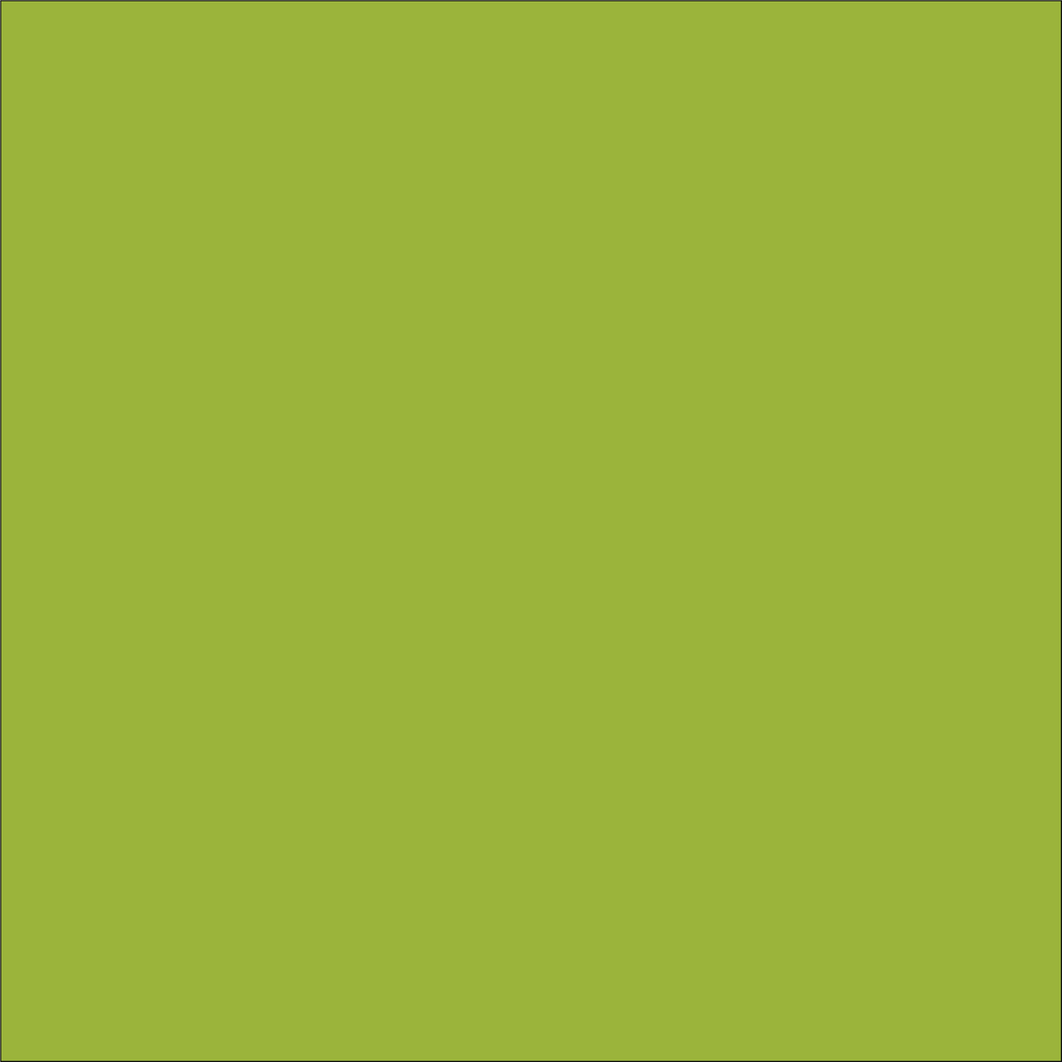 Vinyle thermocollant pour loisirs créatifs couleur citron vert, feuilles de 30,5 x 30,5 cm