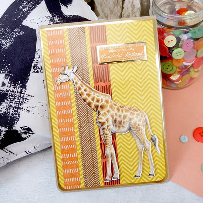 Blocs de papier Duo Design - Rayures esquissées et Points délicats