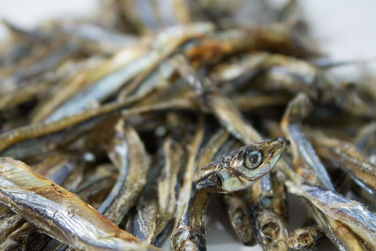 Dried Sardines 40g - Case of 18