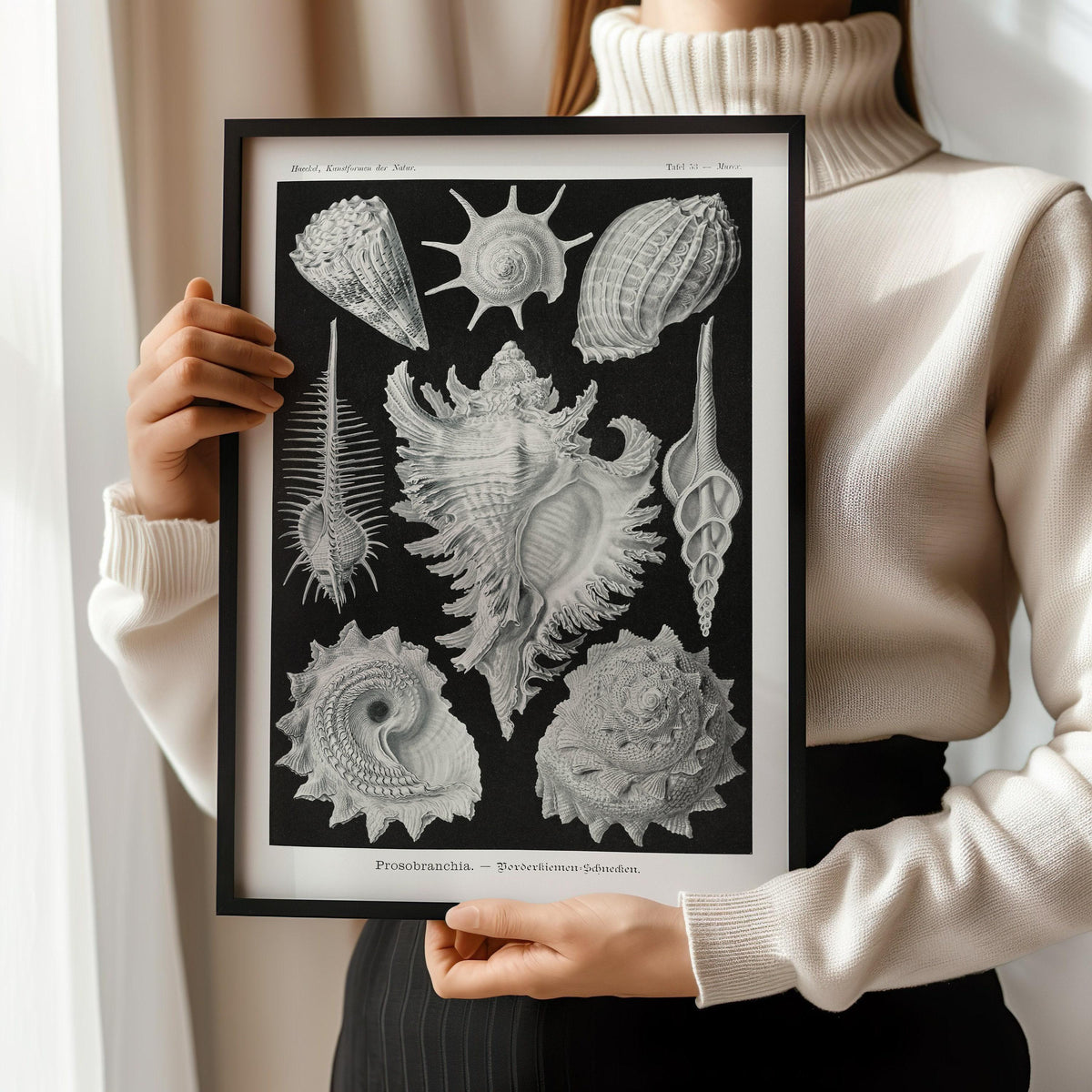 Impression d'art Coquillages d'Ernst Haeckel : Vie marine noire et blanche