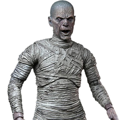 Neca - Universal Monsters Ultimate Mummy - Couleur