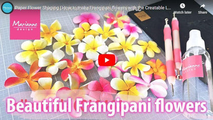 Matrices de découpe Fleur de frangipanier Creatables