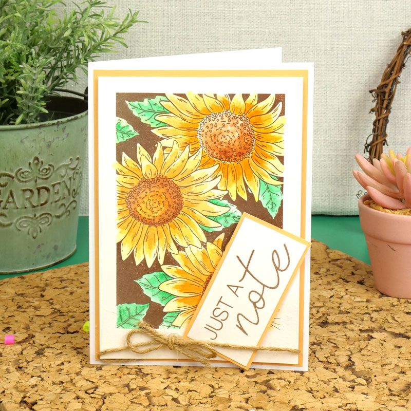 Pour l'amour des timbres - Tournesols spectaculaires