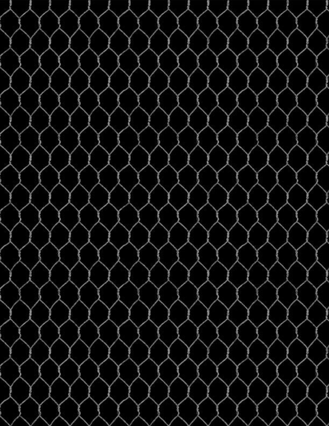 Susan Winget - Coq Fier Grillage Poule Noir - 3023 39770 999