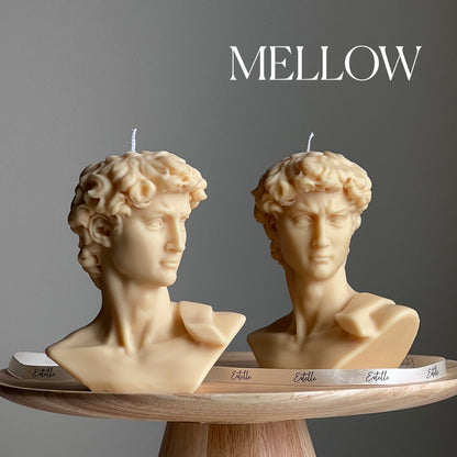 Michelangelo's David Head Candle | Soy Wax Bust Statue Candle