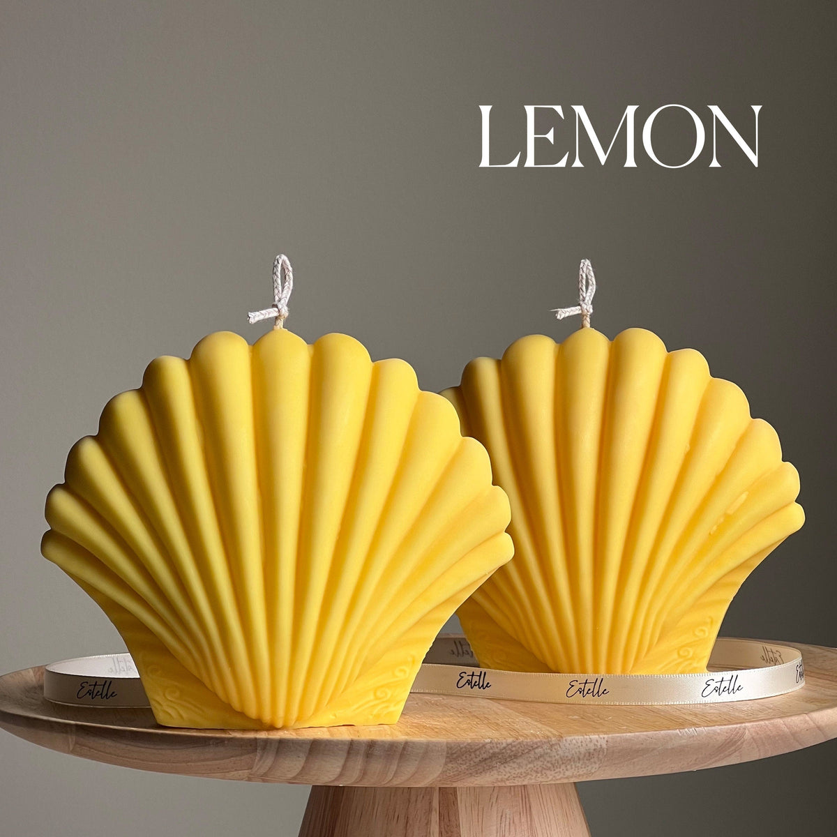 Large Seashell Soy Wax Candle | Unique Home Decor