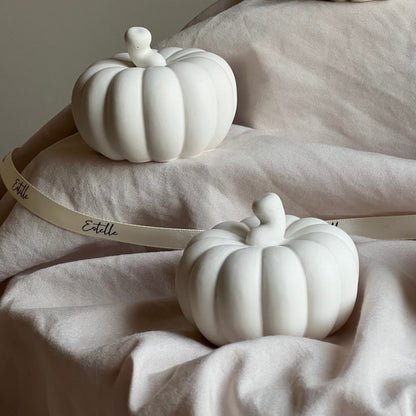 Handmade Jesmonite Pumpkin Decor | Autumn Decoration