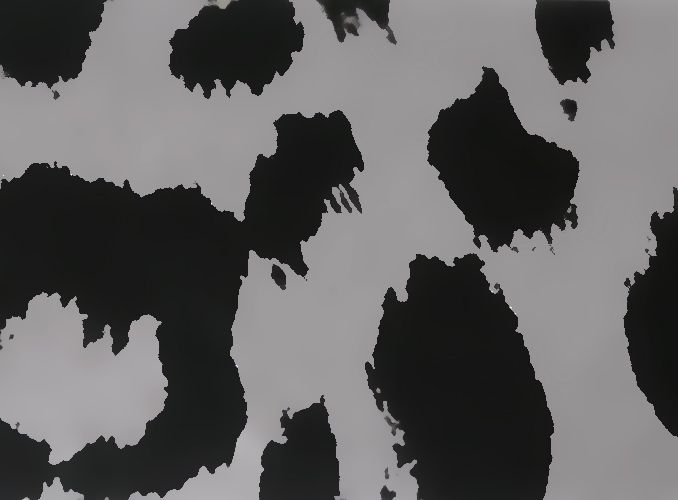 Flex thermocollant Jaguar Argent (Flex Foil)