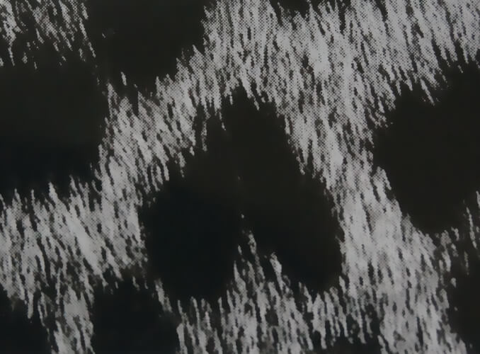 Flex thermocollant guépard argenté (Flex thermocollant)