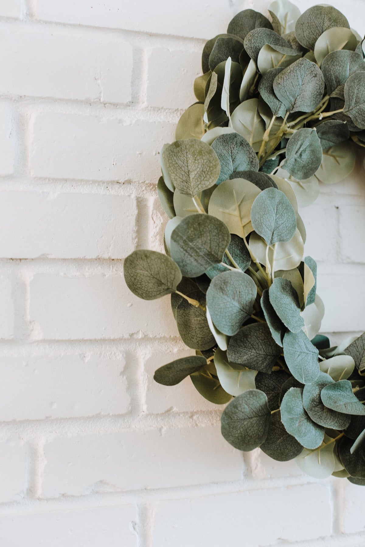 Kit de Couronne de Noël DIY en Eucalyptus