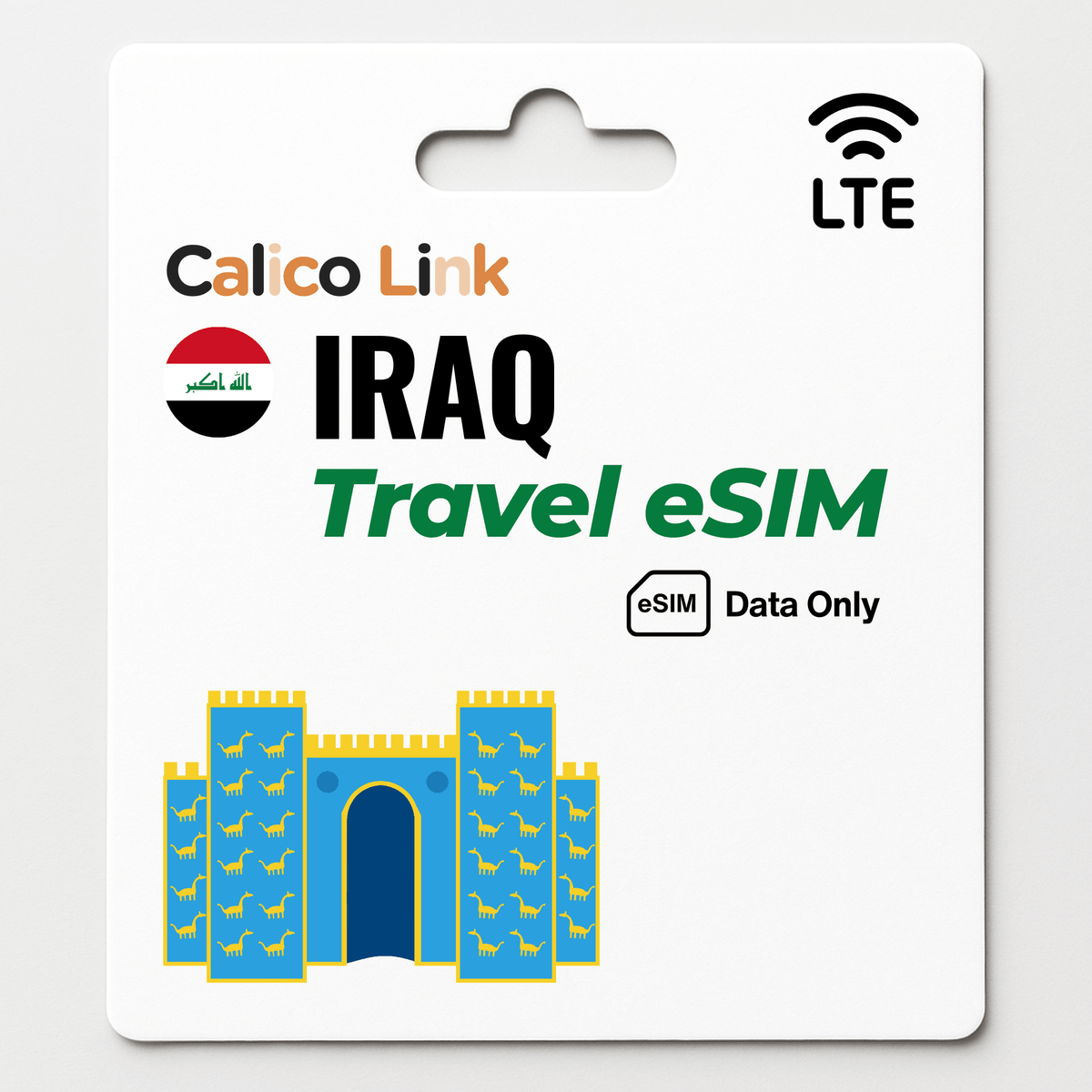 Iraq Travel eSIM LTE Data