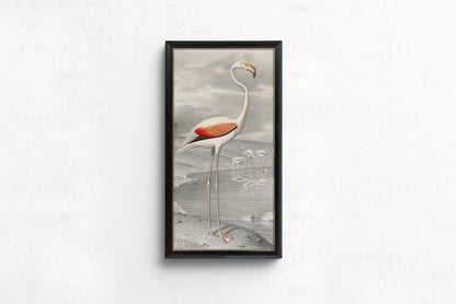 Vintage Flamingo Art Print by Edouard Travies (Handframed or Unframed) (2x1)