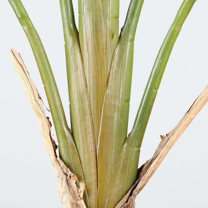 Plante en pot Oiseau de Paradis Artificiel Lola 91 cm