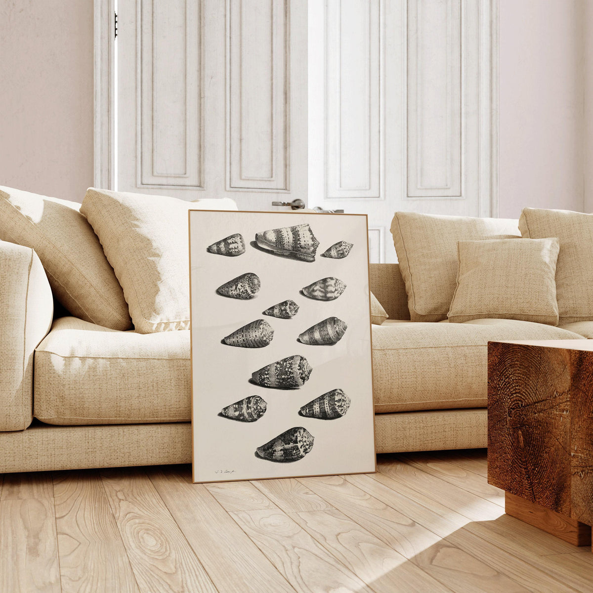 Estampe de coquillages de Maria Sybilla Merian : Art marin en noir et blanc