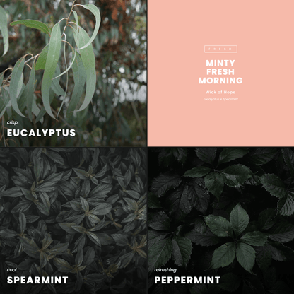 Bougie matin fraîcheur mentholée | Eucalyptus + Menthe verte