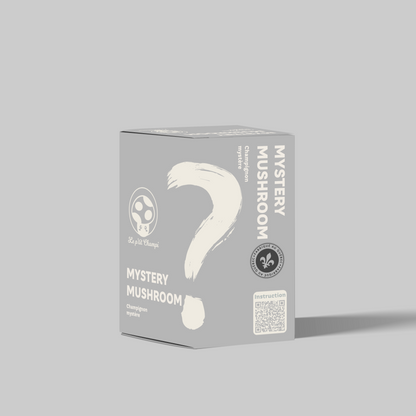 Kit de Champignons Mystère
