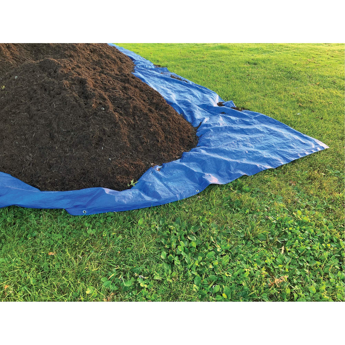 Bâche, usage courant, bleue, 4,88 m x 3,05 m x 4 mil