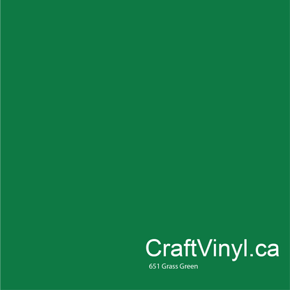 Vinyle brillant Oracal 651 vert herbe #068