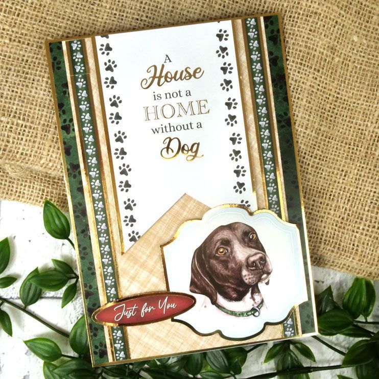 Feuille de dessus de carte Pawty Time